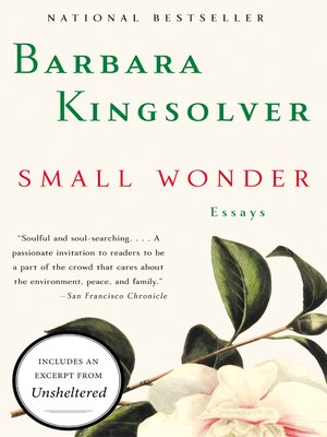 cover image of Small Wonder